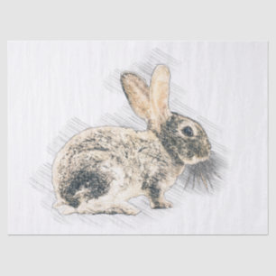 Papel De Seda Dibujo de Bunny