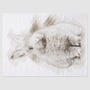 Papel De Seda Dibujo de Bunny