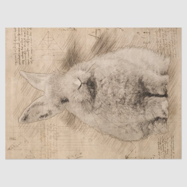 Papel De Seda Dibujo de Bunny Rustic Grunge (Anverso)