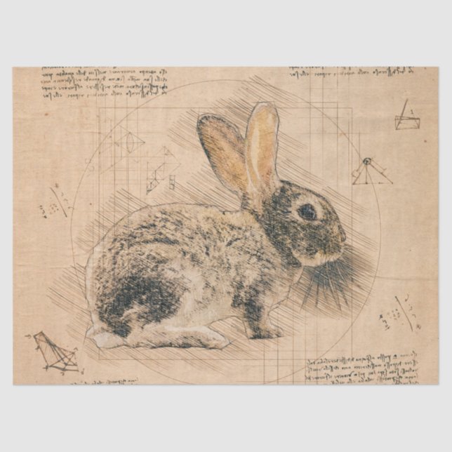 Papel De Seda Dibujo de Bunny Rustic Grunge (Anverso)