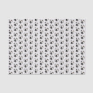 Papel De Seda Dibujo de cachorros de Keeshond - Arte de perros o