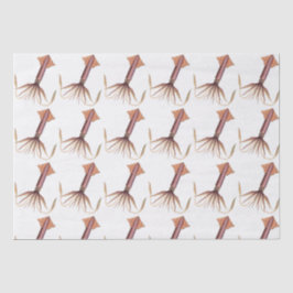 Papel De Seda Dibujo de calamar estilizado de época #1