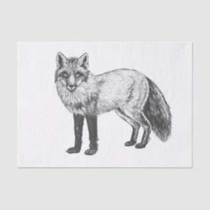 Papel De Seda Dibujo de Fox