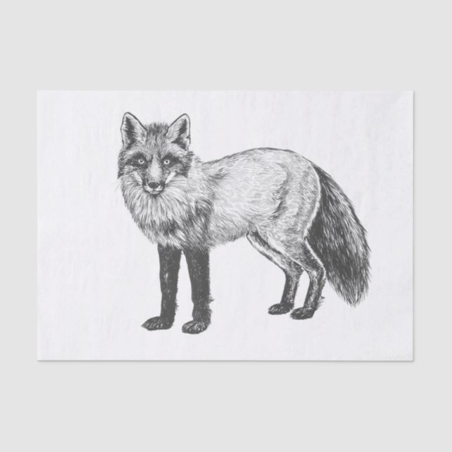 Papel De Seda Dibujo de Fox (Anverso)