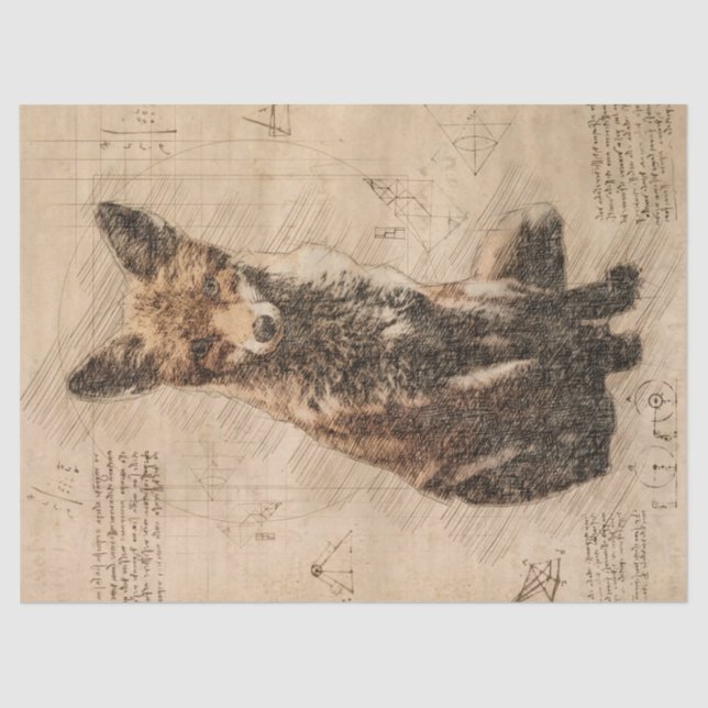 Papel De Seda Dibujo de Fox Wildlife Retro (Anverso)