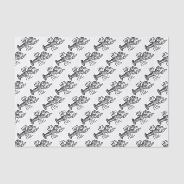 Papel De Seda Dibujo de la langosta #1 (Anverso)