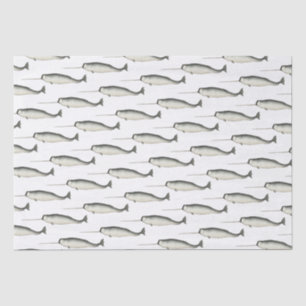 Papel De Seda Dibujo de Narval Antiguo #3