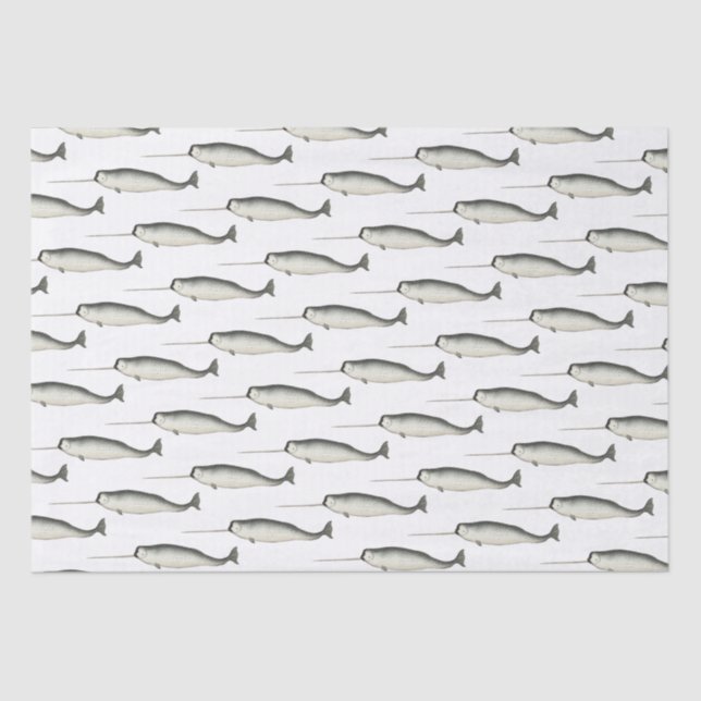 Papel De Seda Dibujo de Narval Antiguo #3 (Anverso)