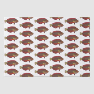 Papel De Seda Dibujo de peces tropicales vintage rojo azul dorad