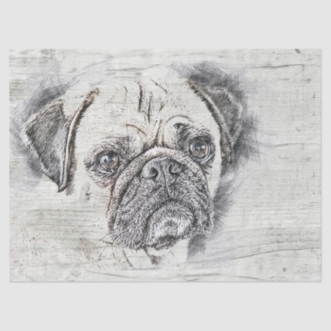 Papel De Seda Dibujo de perro de pug (Anverso)