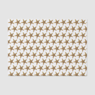 Papel De Seda Dibujo de Starfish con estilo de época
