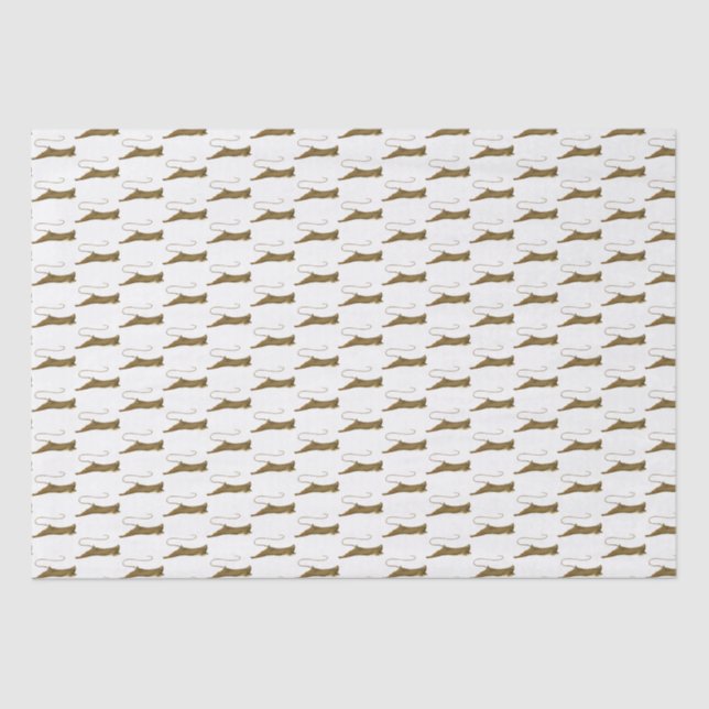 Papel De Seda Dibujo de Stingray de época (Anverso)