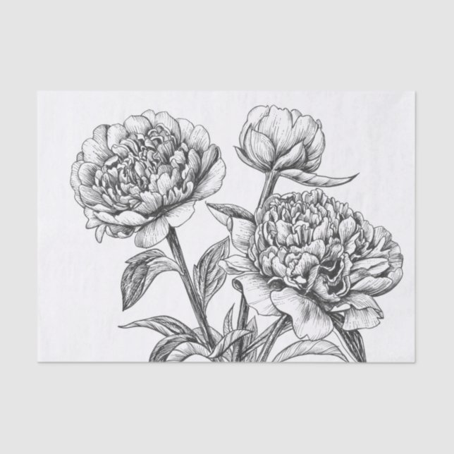 Papel De Seda Dibujo de tinta peatonal (Anverso)