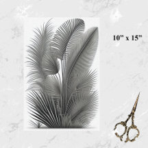 Dibujo pequeño de la línea negra blanca botánica