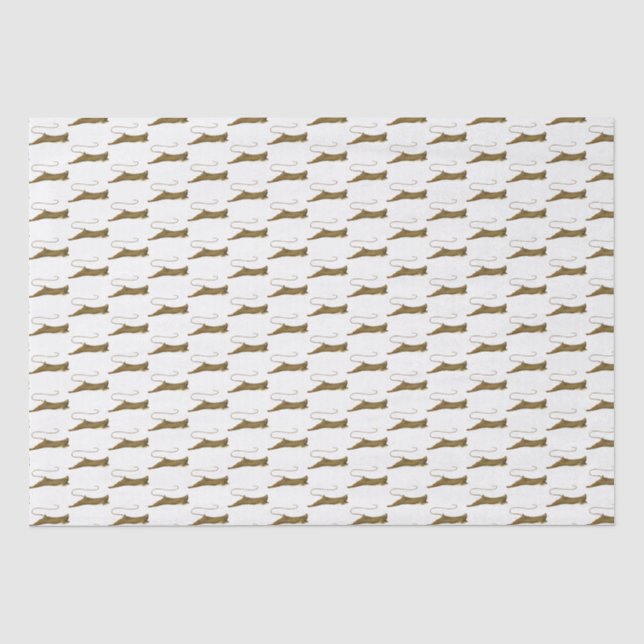 Papel De Seda Dibujo vintage de Stingray (Anverso)