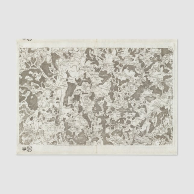 Papel De Seda Dijon (Anverso)