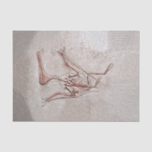 Papel De Seda Dinosaur Bones Antiguo Esbozo Prehistórico