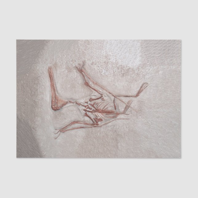 Papel De Seda Dinosaur Bones Antiguo Esbozo Prehistórico (Anverso)