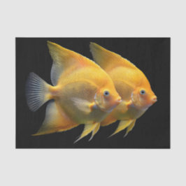 Papel De Seda Discus Fish