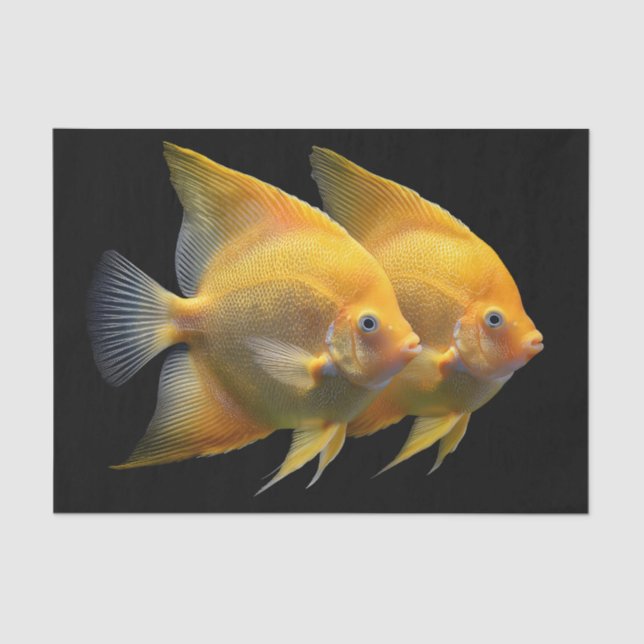 Papel De Seda Discus Fish (Anverso)
