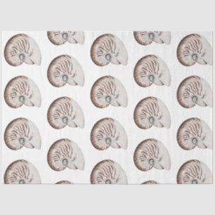Papel De Seda Diseño 9 de la Serie de Conchas de Acuarela Submar