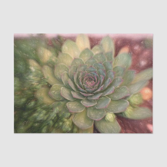 Papel De Seda Diseño de arte de boceto rústico verde succulento  (Anverso)