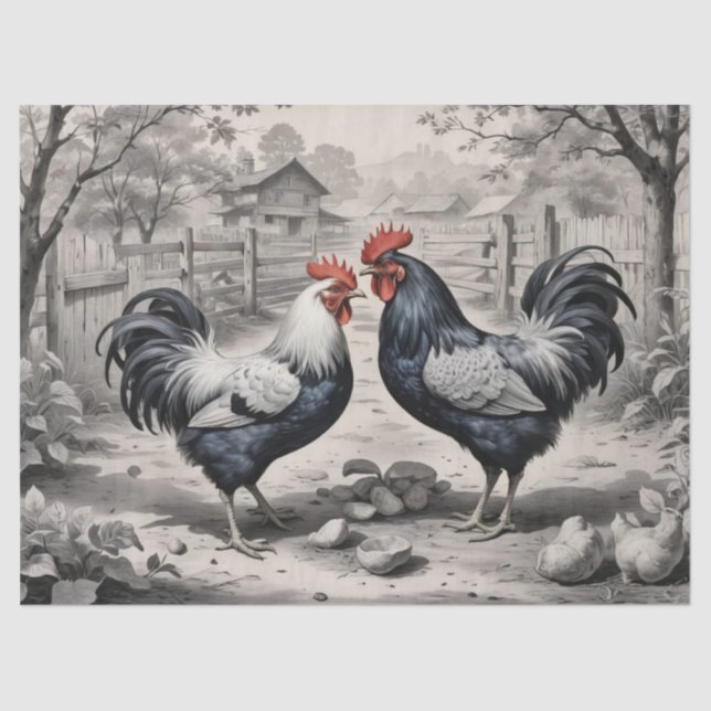 Papel De Seda Diseño de corral de gallinas (Anverso)