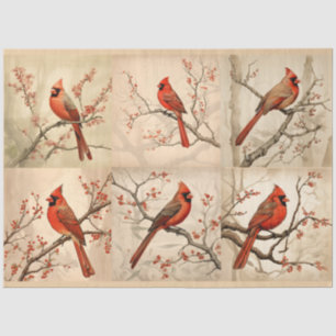 Papel De Seda Diseño de la serie Cardinal Rojo 2