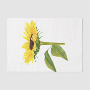 Papel De Seda Diseño de la serie de Acción de Gracias de color a