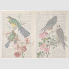 Papel De Seda Diseño de la serie de aves de cosecha 6