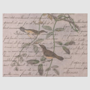 Papel De Seda Diseño de la serie de aves efímeras cinco