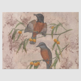 Papel De Seda Diseño de la serie de aves efímeras tres