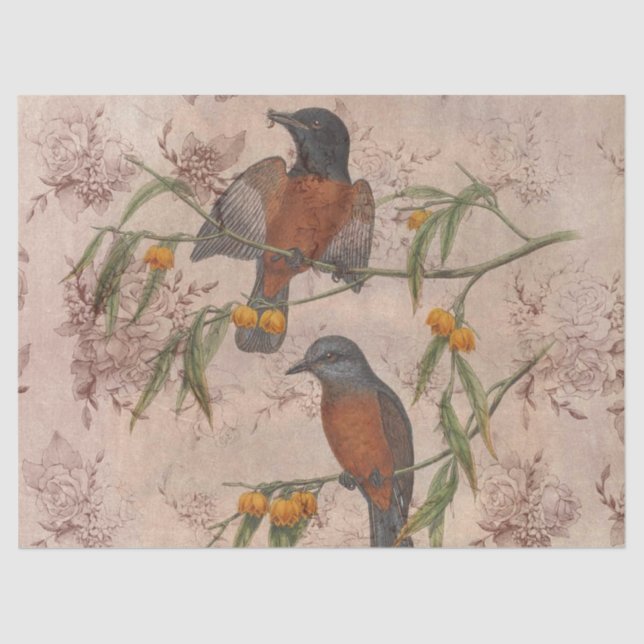 Papel De Seda Diseño de la serie de aves efímeras tres (Anverso)