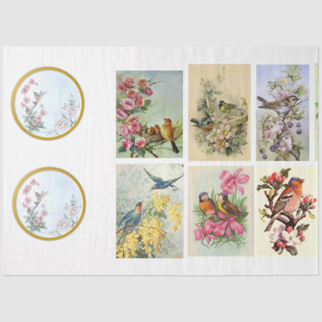 Papel De Seda Diseño de la serie de aves silvestres 2 (Anverso)