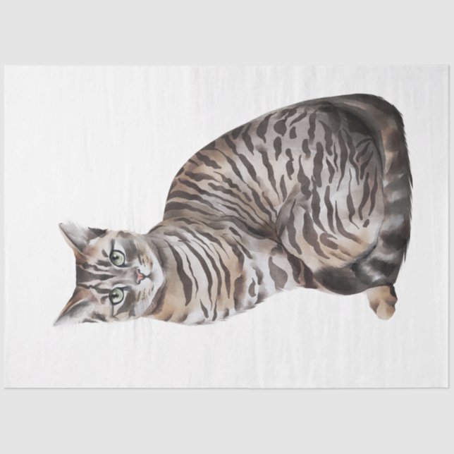 Papel De Seda Diseño de la serie de gatos salvajes 6 (Anverso)