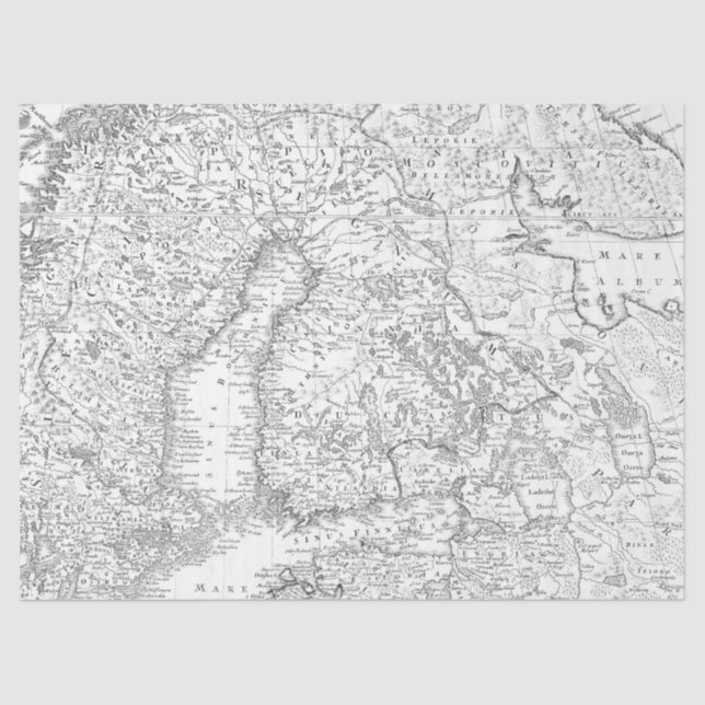 Papel De Seda Diseño de la serie de mapas digitales en blanco y  (Anverso)