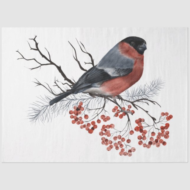 Papel De Seda Diseño de la serie de pájaros para Navidades 7 (Anverso)