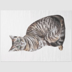 Papel De Seda Diseño de la serie Gatos Salvajes 6