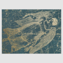 Diseño de la serie Gold Galaxy Star Map 11