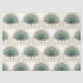 Papel De Seda Diseño de la serie Pavo Real 8