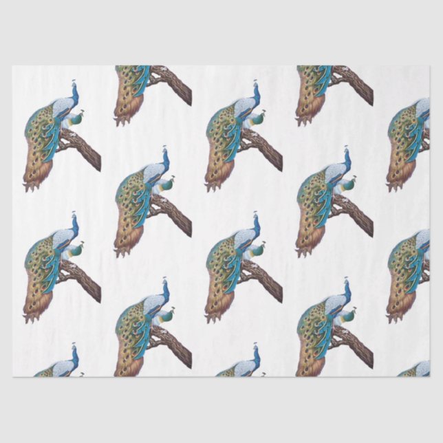 Papel De Seda Diseño de la serie Peacock 9 (Anverso)