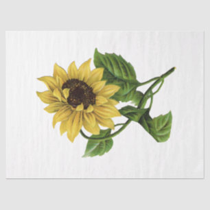 Papel De Seda Diseño de la serie Queen Bee 66