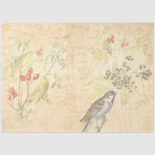Papel De Seda Diseño de la serie Vintage Bird 2