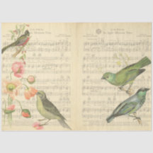 Diseño de la serie Vintage Bird 5