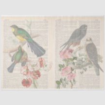 Diseño de la serie Vintage Bird 6