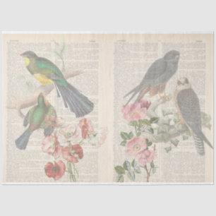 Papel De Seda Diseño de la serie Vintage Bird 6