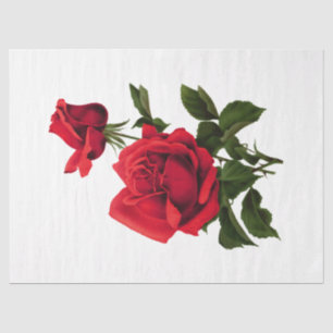 Papel De Seda Diseño de la Serie Vintage Rose 115