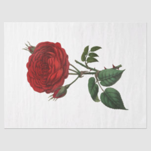 Papel De Seda Diseño de la Serie Vintage Rose 116