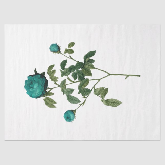 Papel De Seda Diseño de serie Rosa de época 128 (Anverso)