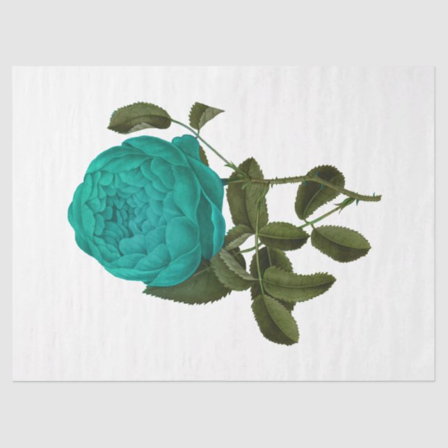 Papel De Seda Diseño de serie Rosa de época 135 (Anverso)